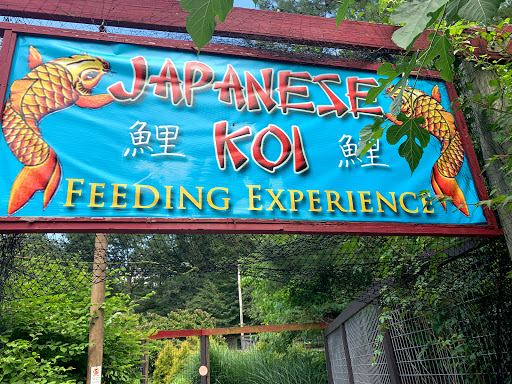 Zoo «Catoctin Wildlife Preserve and Zoo», reviews and photos, 13019 Catoctin Furnace Rd, Thurmont, MD 21788, USA