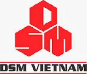 Construction services company DSM demolition works Vietnam