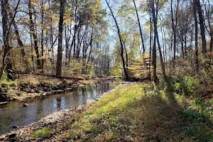 Chippewa Rogues Hollow Nature Preserve and Historical Park image