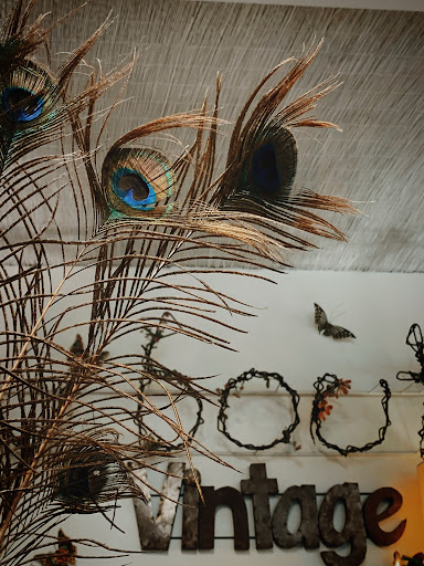 Vintage Clothing Store «Fly Boutique», reviews and photos, 7235 Biscayne Blvd, Miami, FL 33138, USA