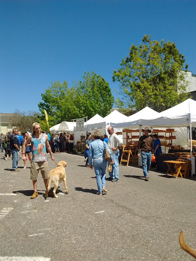 Museum «Dahlonega Gold Museum Historic Site», reviews and photos, 1 Public Square N, Dahlonega, GA 30533, USA