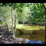 Photo n° 1 de l'avis de Josiane.o fait le 26/09/2021 à 10:36 pour Forêt de Broceliande, Val sans Retour à Tréhorenteuc