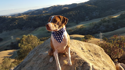 Park «Black Diamond Mines Regional Preserve», reviews and photos, 5175 Somersville Rd, Antioch, CA 94509, USA