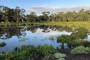 Victoria Park Wetlands image