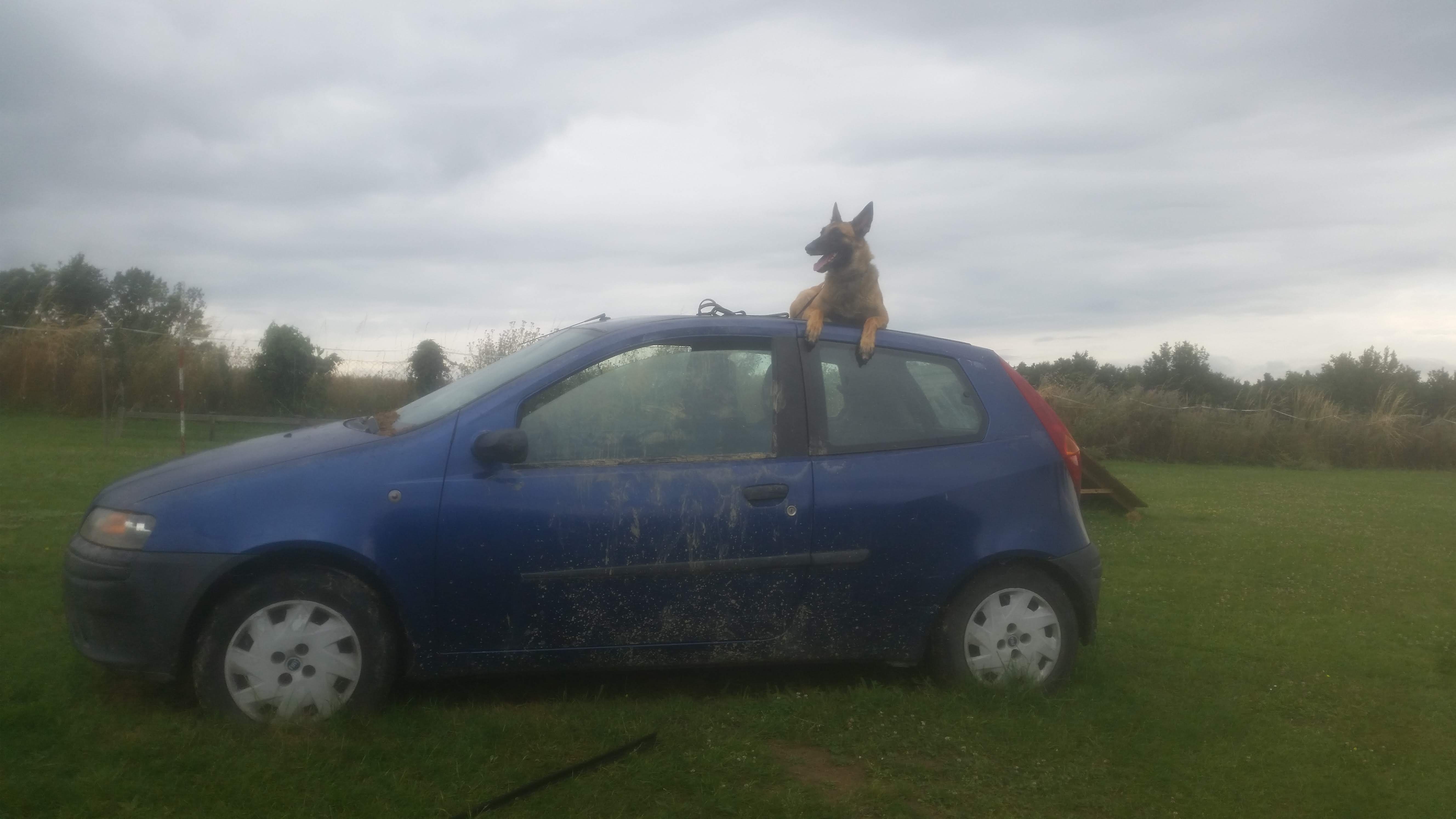 Photo n° 1 de l'avis de YAN. fait le 16/07/2018 à 19:18