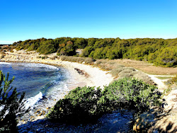 Plage des Agoutaous'in fotoğrafı doğal alan içinde bulunmaktadır