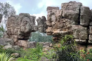 Rock Garden. image