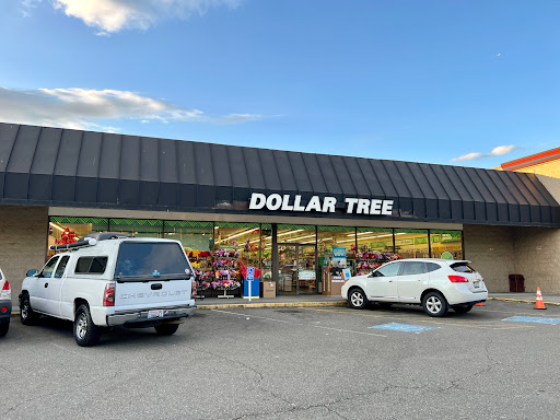 Dollar Tree, 12030 NE 85th St, Kirkland, WA 98033, USA, 