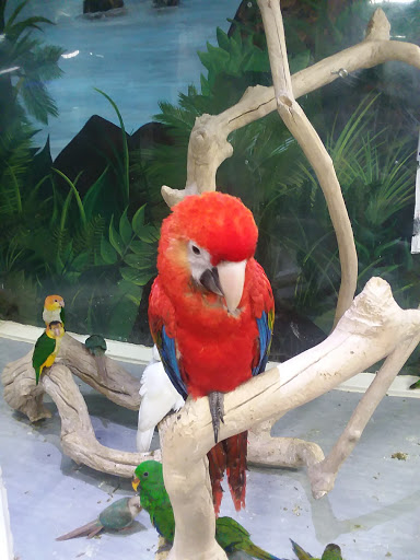 Pet Store «Most Valuable Pets», reviews and photos, 921 Beaumont Centre Pkwy #100, Lexington, KY 40513, USA