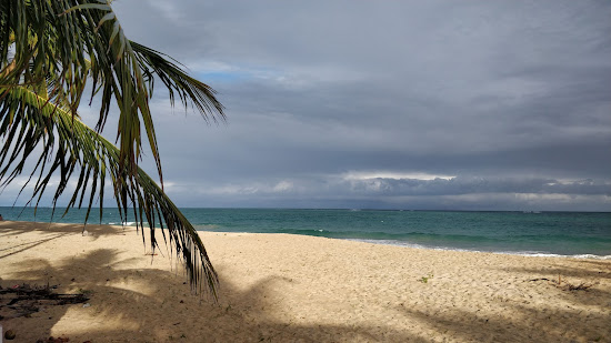 Praia Pontal do Lira