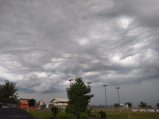 Park «East Snyder Park», reviews and photos, 875 University Ave, Selinsgrove, PA 17870, USA