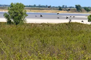 Quivira National Wildlife Refuge image