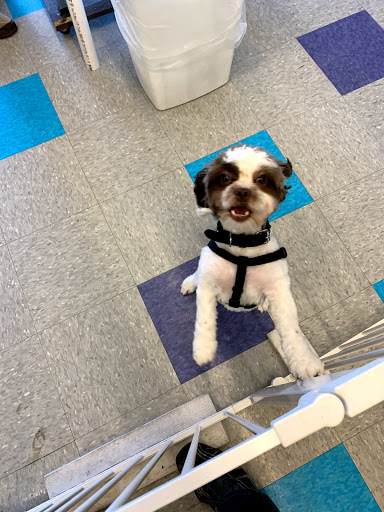 Pet Supply Store «Bow Wow and Meow Pet Supplies», reviews and photos, 1648 S 4th St, Allentown, PA 18103, USA