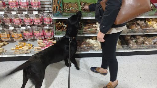 Pet Supply Store «Pet Quarters», reviews and photos, 486 Payne Rd, Scarborough, ME 04074, USA