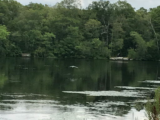 Park «D.W. Field Park», reviews and photos, D W Field Pkwy, Brockton, MA 02301, USA