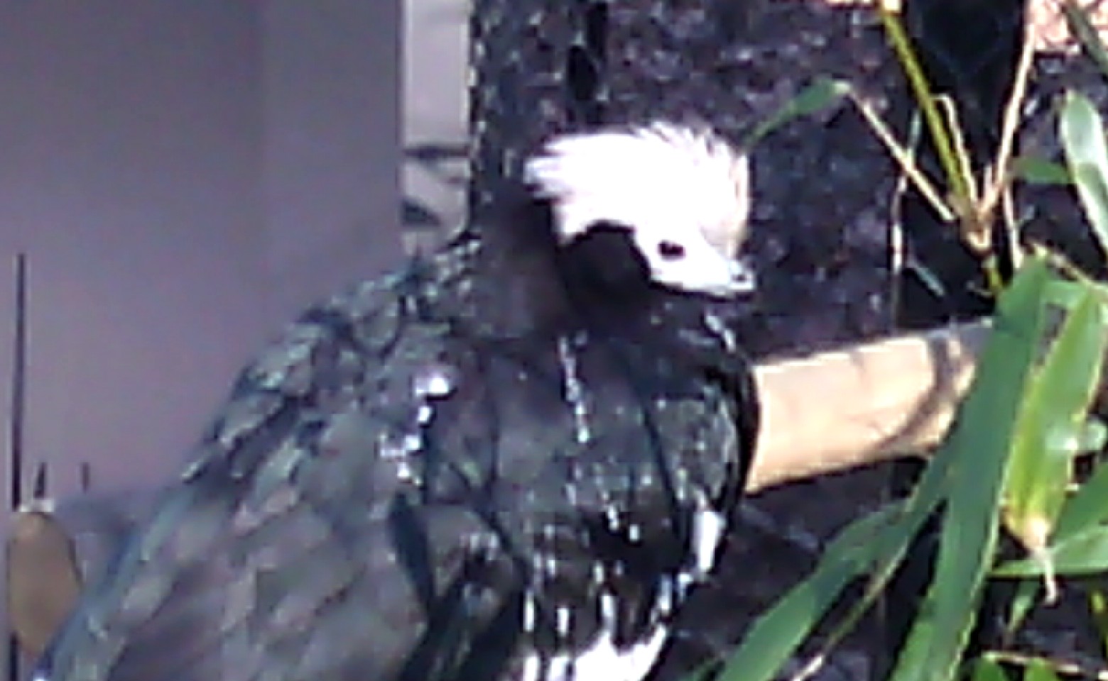 Photo n° 2 de l'avis de Eric.A fait le 02/03/2018 à 15:12