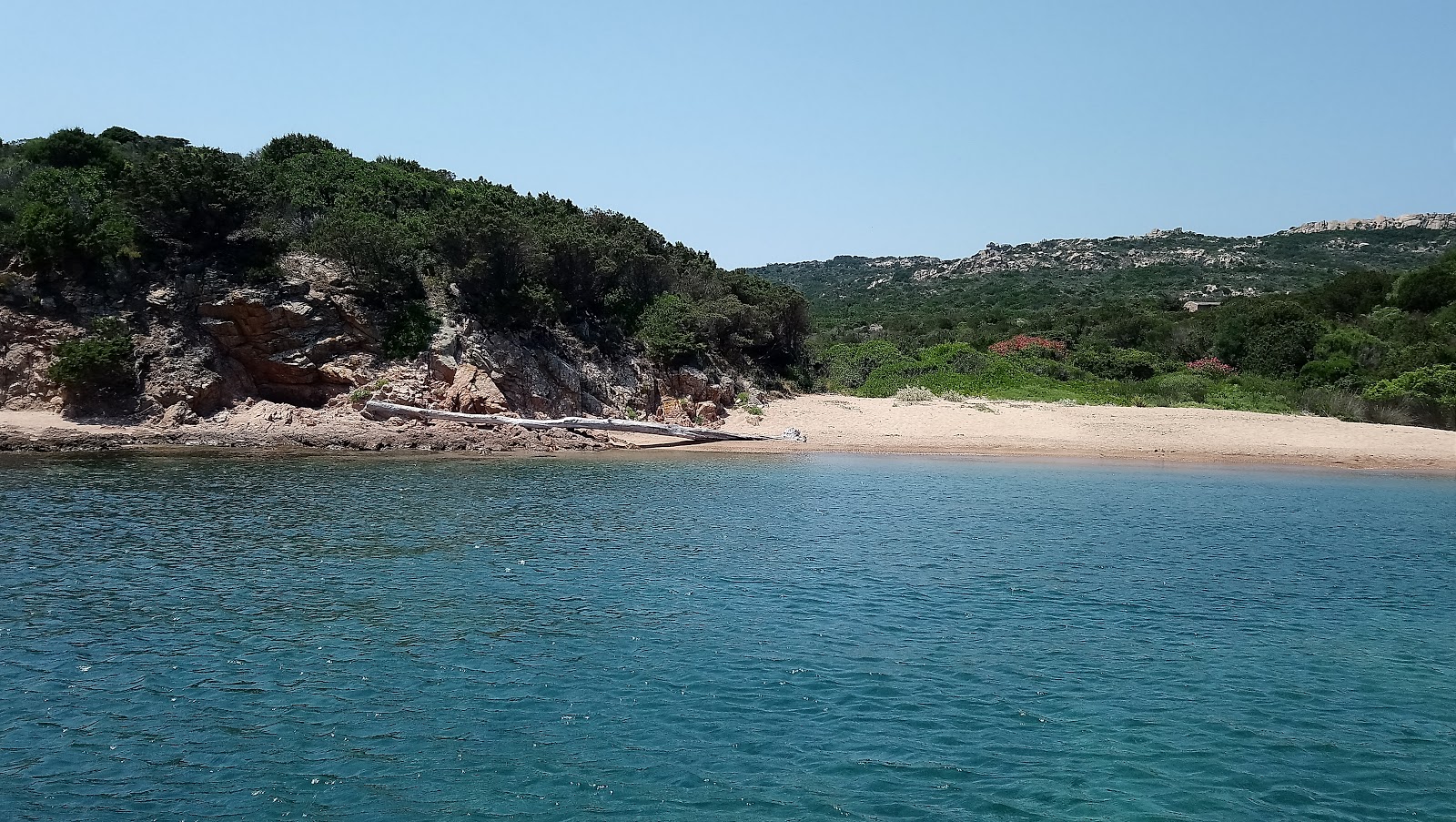 Photo of Cala Canniccio beach located in natural area