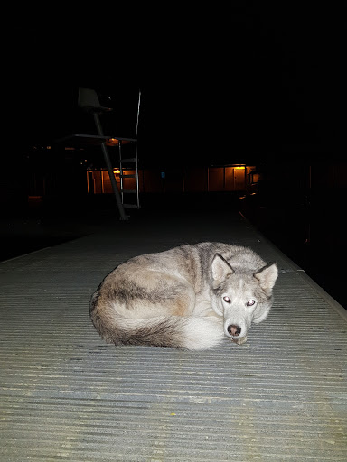 Park «Clyde Beach Park», reviews and photos, 2 92nd Ave NE, Bellevue, WA 98004, USA