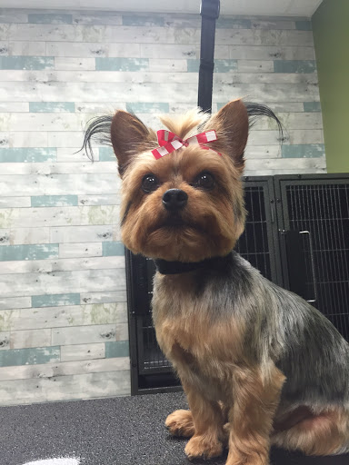 Pet Supply Store «EarthWise Pet Voorhees», reviews and photos, 154 NJ-73, Voorhees Township, NJ 08043, USA