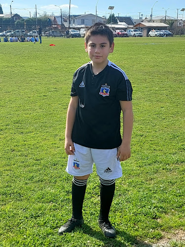 Opiniones de cancha colo colo san javier en San Javier - Campo de fútbol