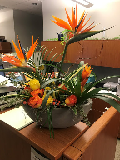 Florist «Lake Harriet Florist», reviews and photos, 5011 Penn Ave S, Minneapolis, MN 55419, USA