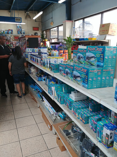 Tropical Fish Store «Xtreme Fish & Pets», reviews and photos, 11415 Bellaire Blvd # A, Houston, TX 77072, USA