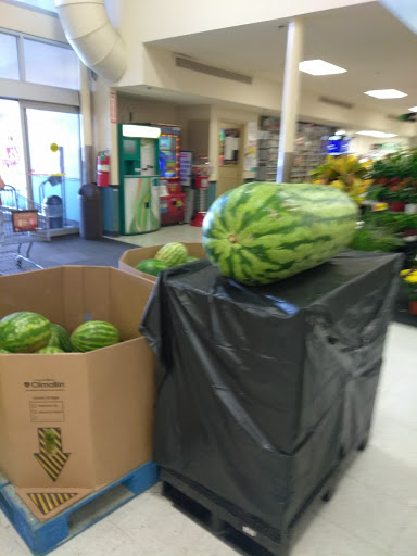 Grocery Store «H-E-B Grocery», reviews and photos, 101 S Clay St, Ennis, TX 75119, USA