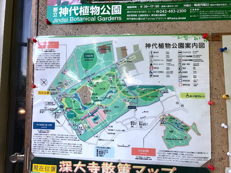 ドッグラン 神代植物公園 東京都調布市深大寺北町 犬専用公園 公園 グルコミ