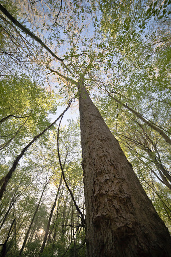 Park «Carter Park», reviews and photos, 1720 King Ave, Kings Mills, OH 45034, USA