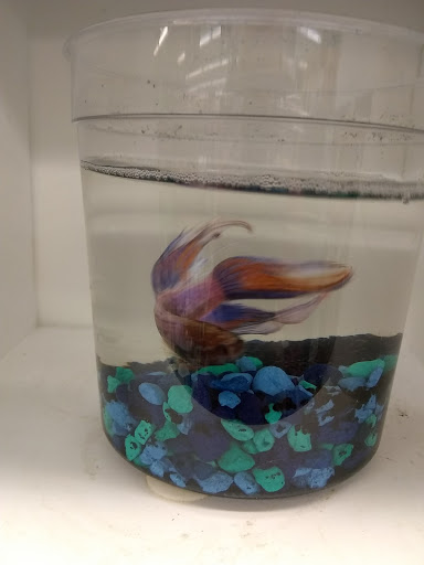 Pet Supply Store «Pet Supplies Plus», reviews and photos, 4751 Hiawatha Ave, Minneapolis, MN 55406, USA