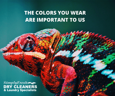 Dry Cleaner «SimplyFresh Dry Cleaners», reviews and photos, 810 Ohio Pike, Cincinnati, OH 45245, USA