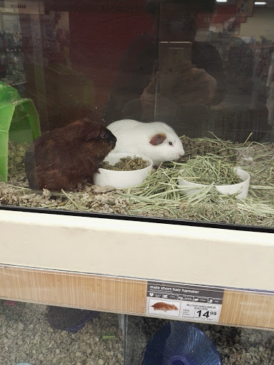 Pet Supply Store «Petco Animal Supplies», reviews and photos, 11976 Dublin Blvd, Dublin, CA 94568, USA