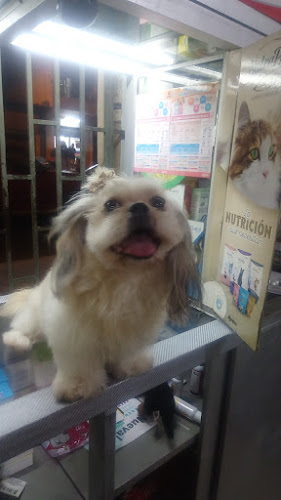 Opiniones de Almacen veterinario scooby doo en Guayaquil - Veterinario