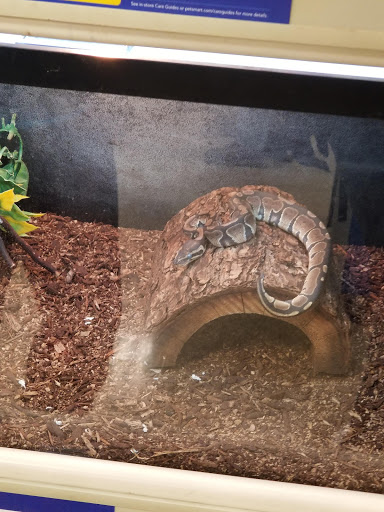 Pet Supply Store «PetSmart», reviews and photos, 10697 E US Hwy 36, Avon, IN 46123, USA