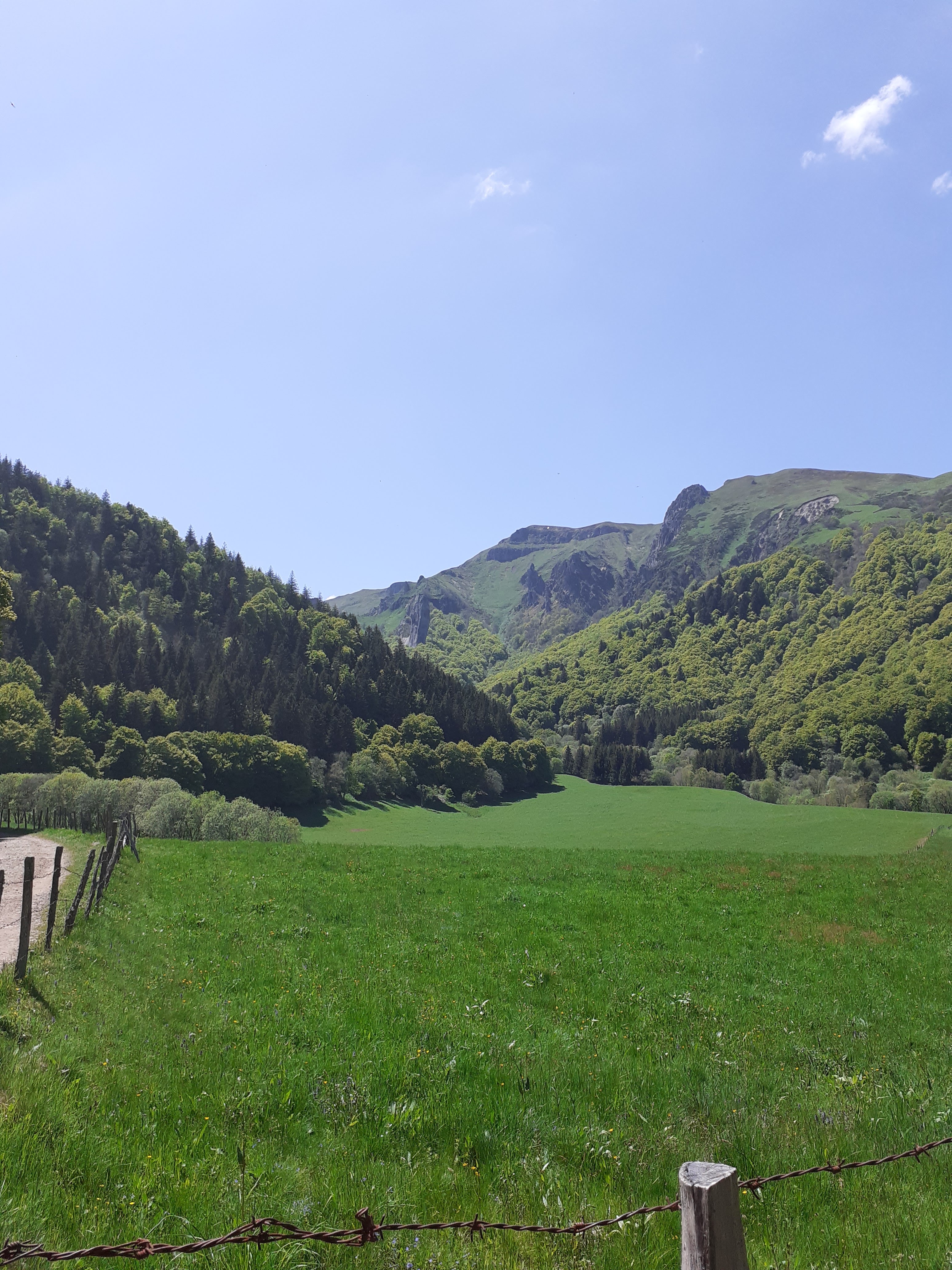 Photo n° 2 de l'avis de Isabelle.e fait le 27/05/2023 à 13:14