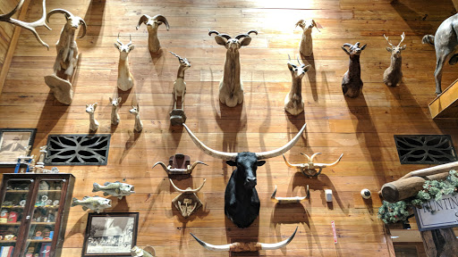 Sporting Goods Store «Bass Pro Shops», reviews and photos, 200 Bass Pro Dr, Round Rock, TX 78665, USA