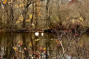 Betty Allen Twin Ponds Nature Park image