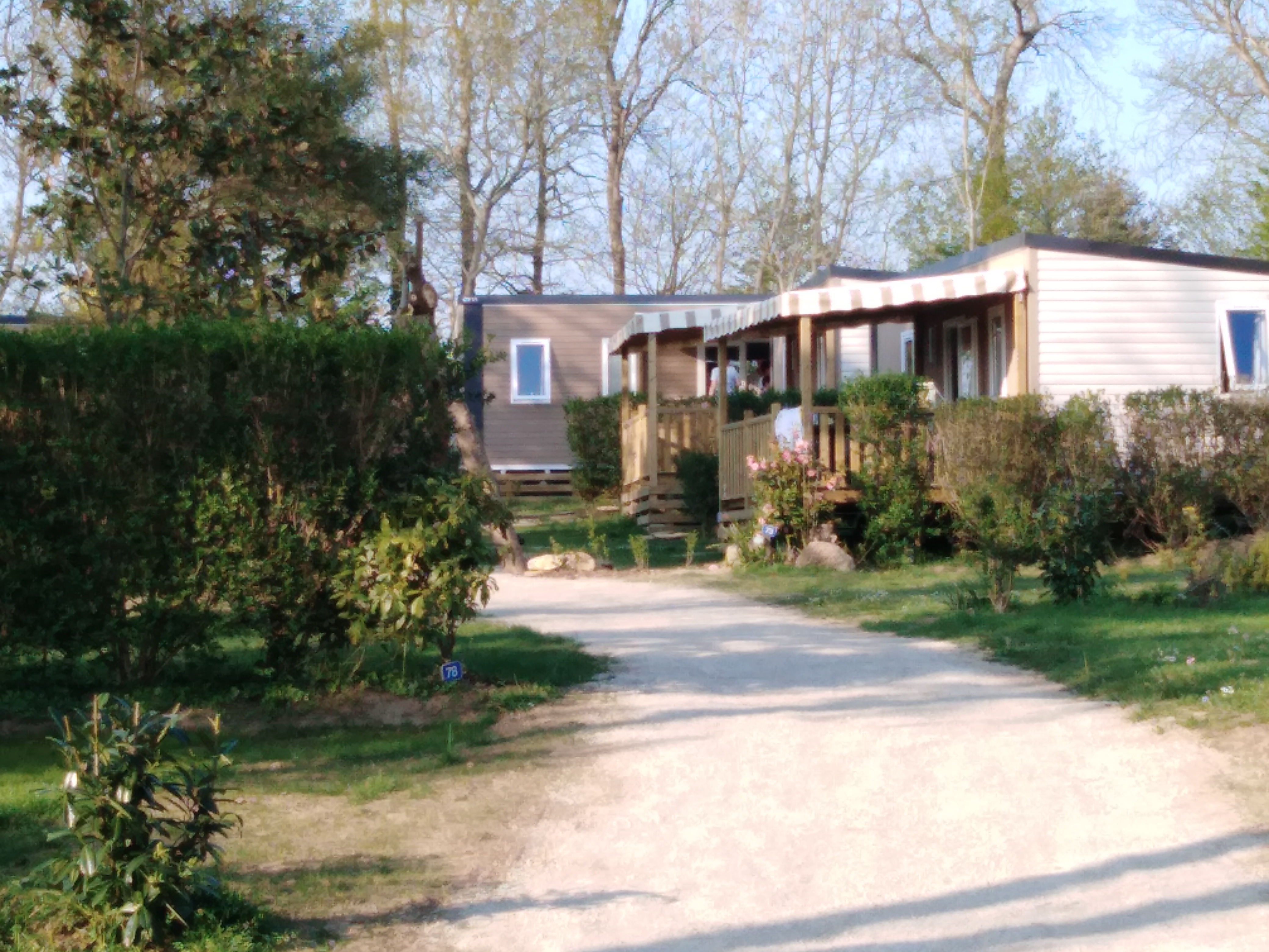 Photo n° 1 de l'avis de Fo.o fait le 05/05/2019 à 11:33