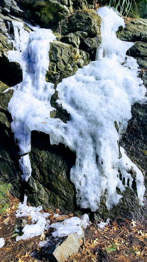 Park «Fort Tryon Park», reviews and photos, Riverside Dr To Broadway, New York, NY 10040, USA