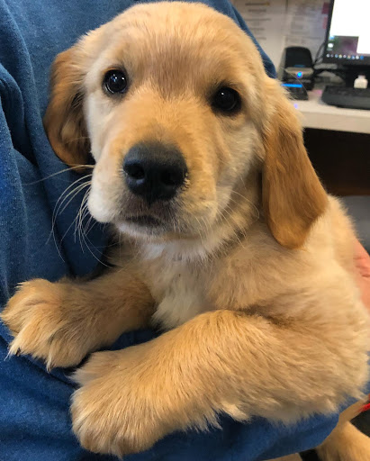 11032 8th Ave NE, Seattle, WA 98125, USA