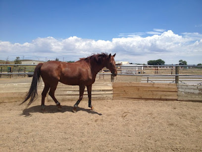 Prestige Therapeutic Equestrian Center