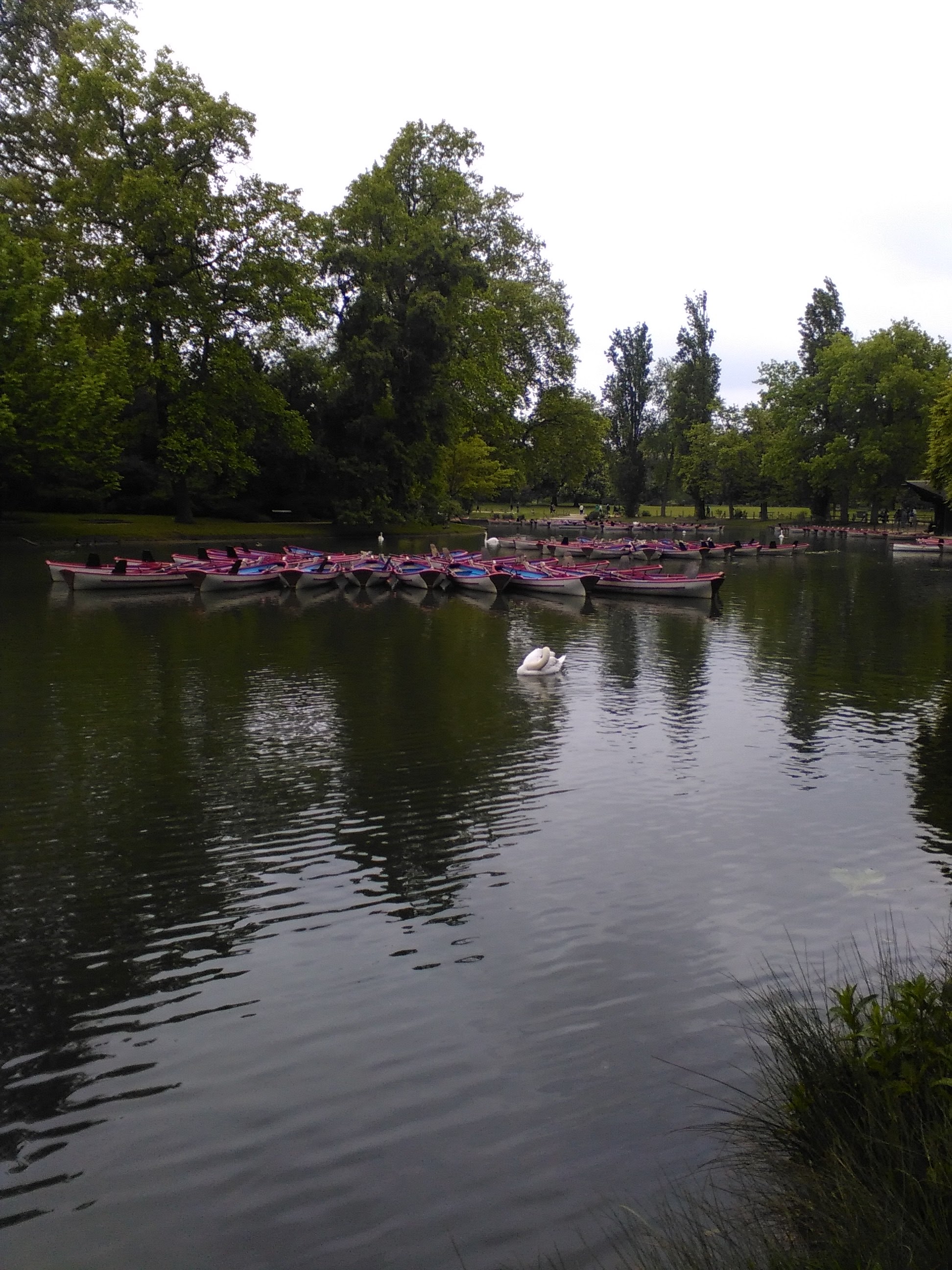 Photo n° 2 de l'avis de Edward.a fait le 08/05/2017 à 18:08