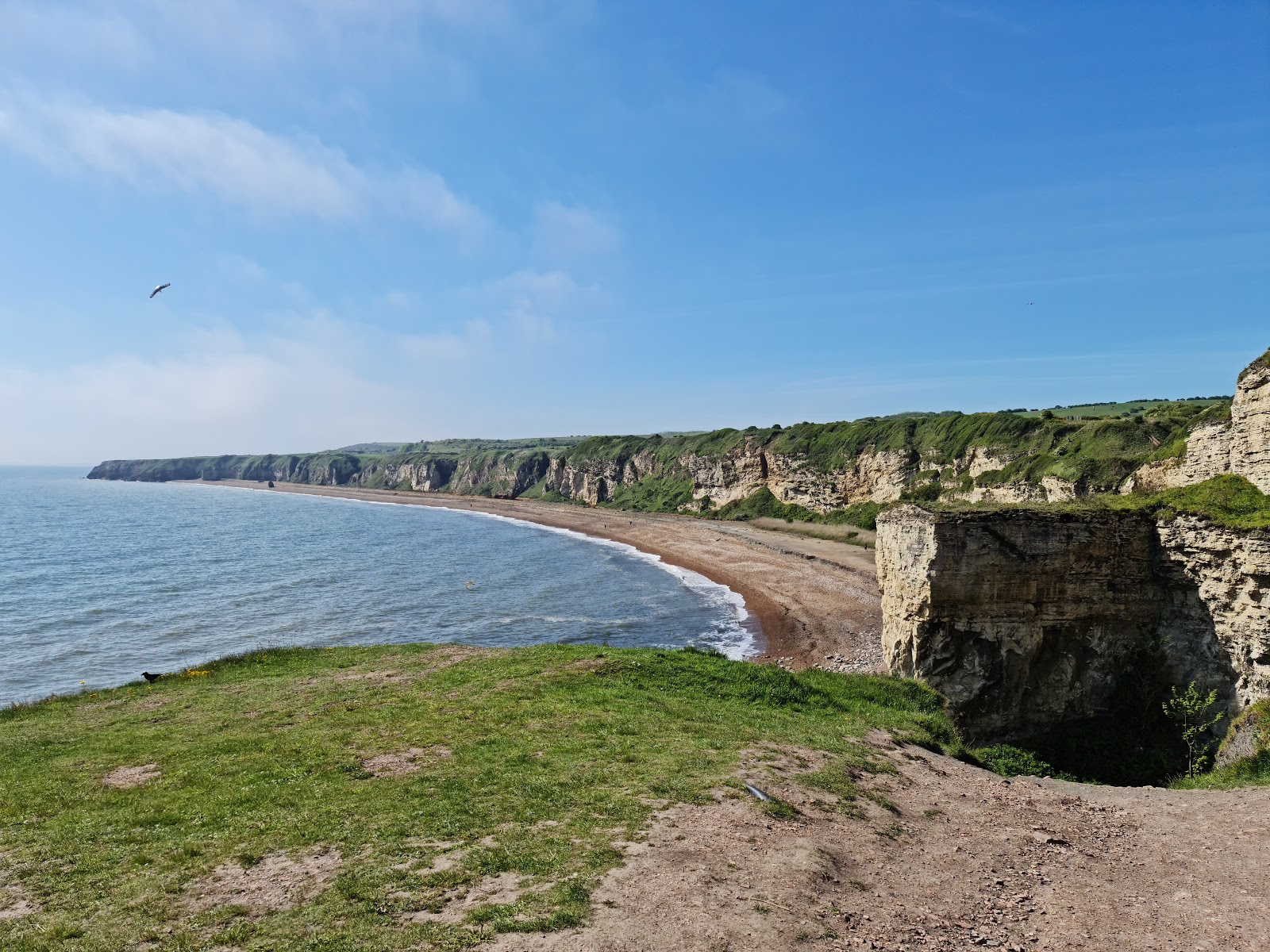 Zdjęcie Blast beach z przestronna plaża