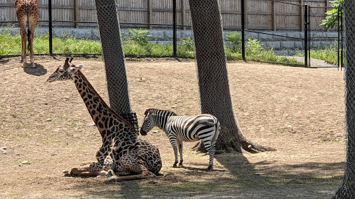 Zoo «Seneca Park Zoo», reviews and photos, 2222 St. Paul Street, Rochester, NY 14621, USA