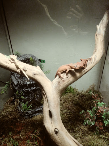 Pet Supply Store «Pet Valu», reviews and photos, 6220 Wilmington Pike D, Sugarcreek Township, OH 45459, USA