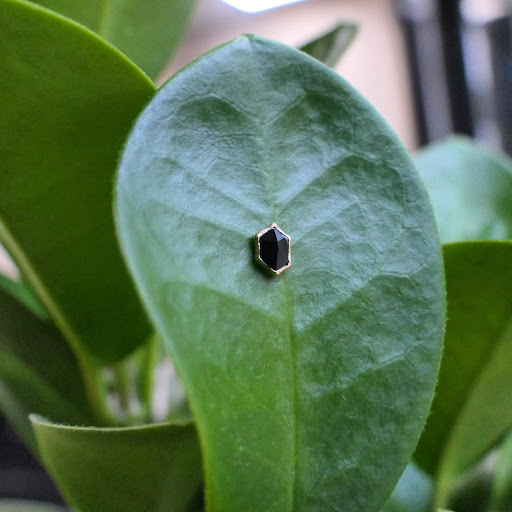 Explore military tattoo ideas for men, creative tattoo ideas in Springfield, available at Nuclear Crayon Tattoo & Piercing