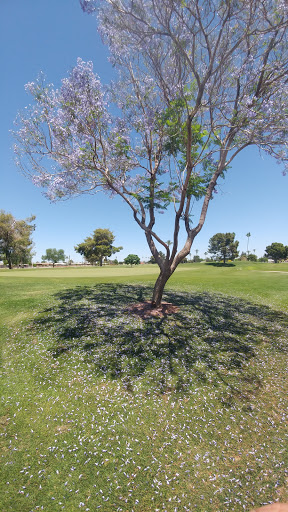 Golf Course «Willow Creek Golf Course», reviews and photos, 10600 N Boswell Blvd, Sun City, AZ 85351, USA