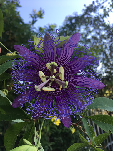 Park «Matzke Park», reviews and photos, 13110 Jones Rd, Houston, TX 77070, USA