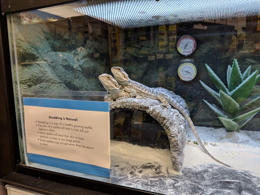 Pet Supply Store «Petco Animal Supplies», reviews and photos, 901 W Indiantown Rd #30, Jupiter, FL 33458, USA