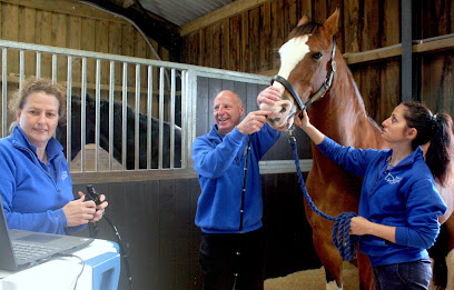 Walker Equine Vets en Tiverton
